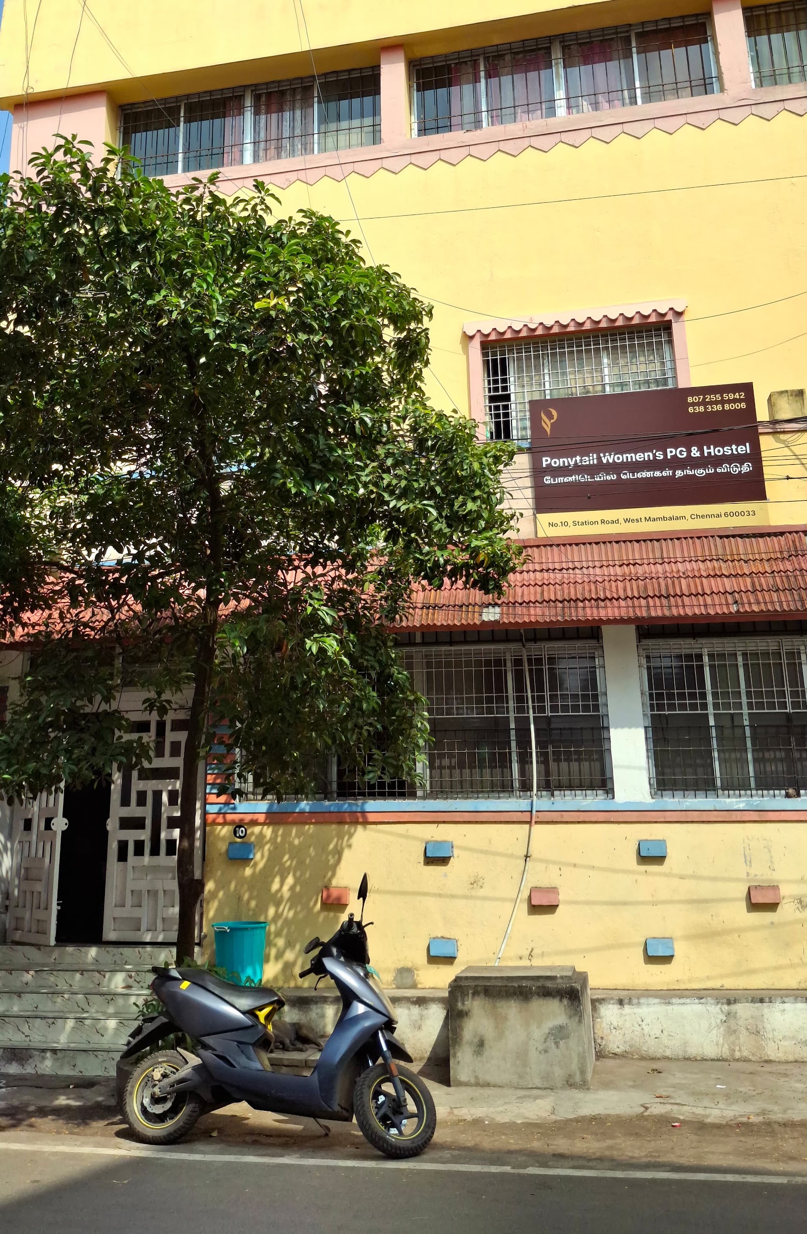Ponytail Women's PG & Hostel